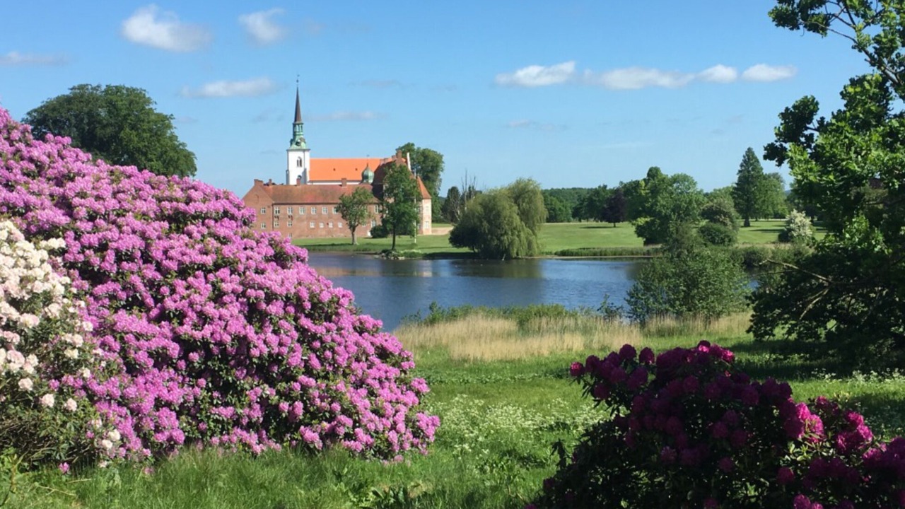 Photo of Outdoor in Faaborg
