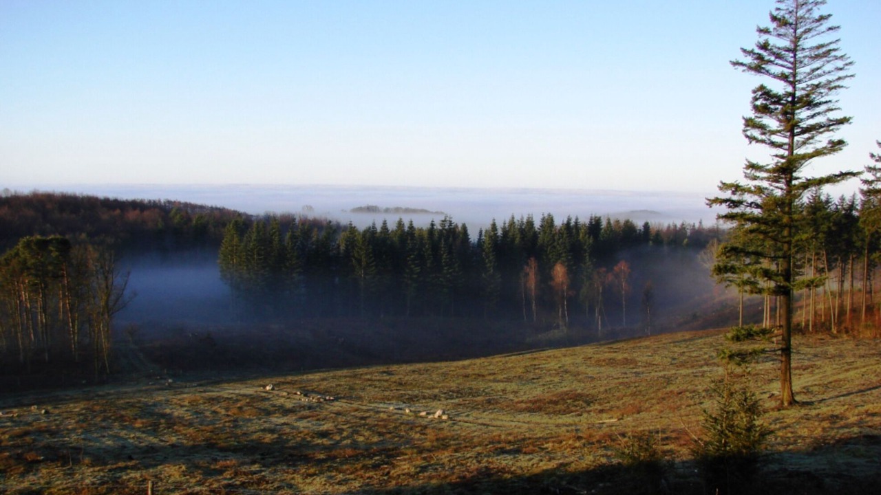 Photo of Outdoor in Faaborg