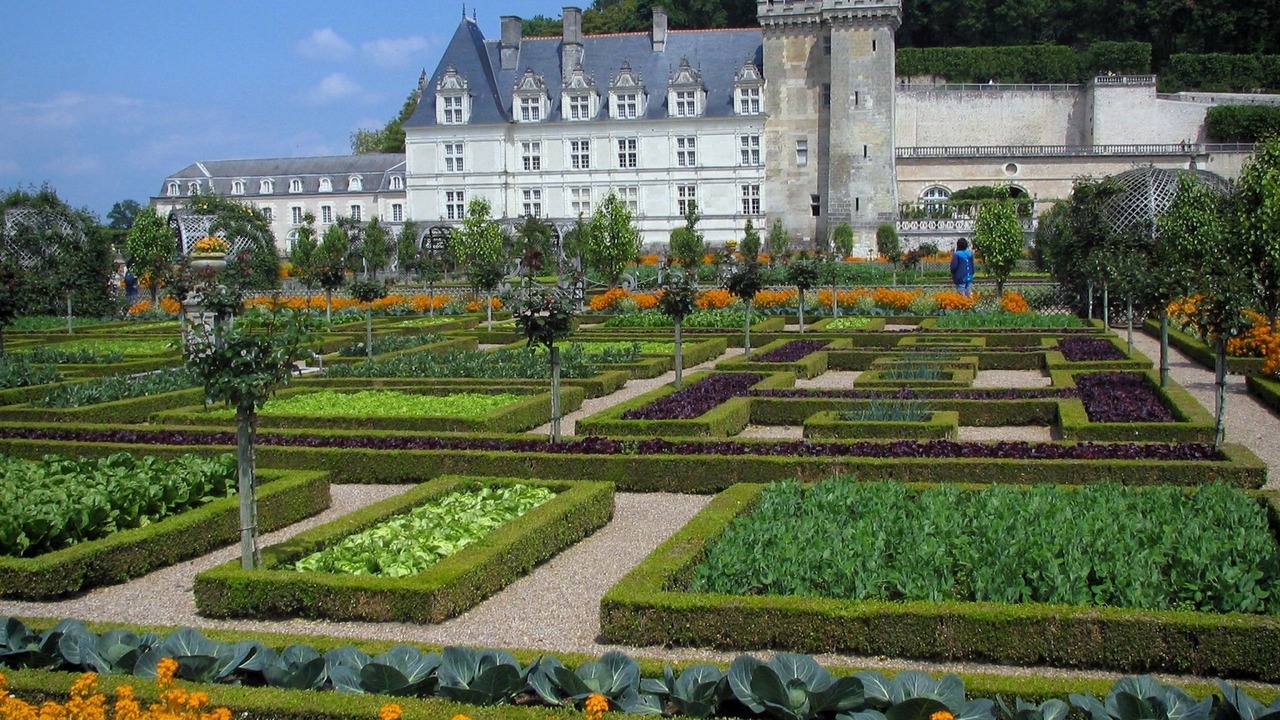 Photo of Others in Artannes-sur-Indre
