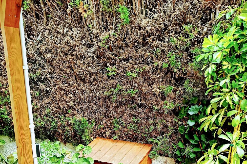 Photo of Outdoor in Les Tres Cales