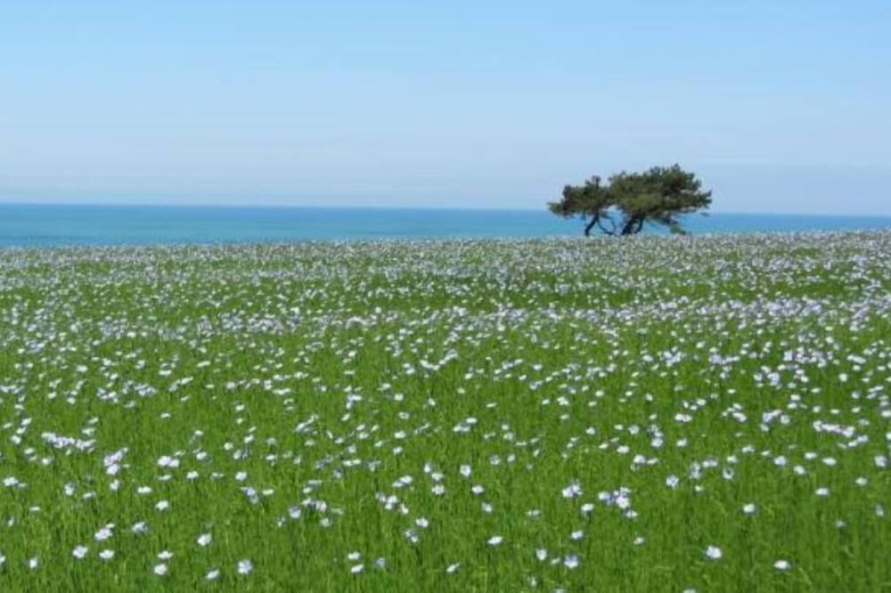 Photo of Others in Quiberville