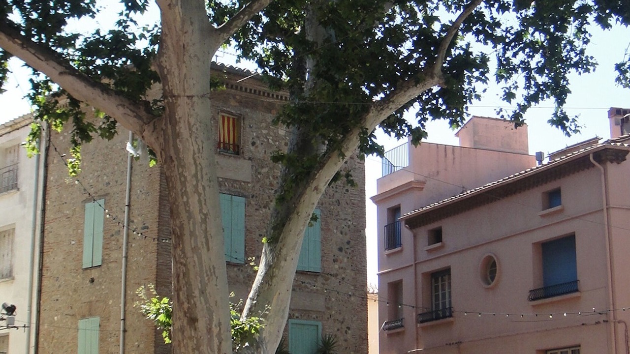 Photo of Outdoor in Rivesaltes