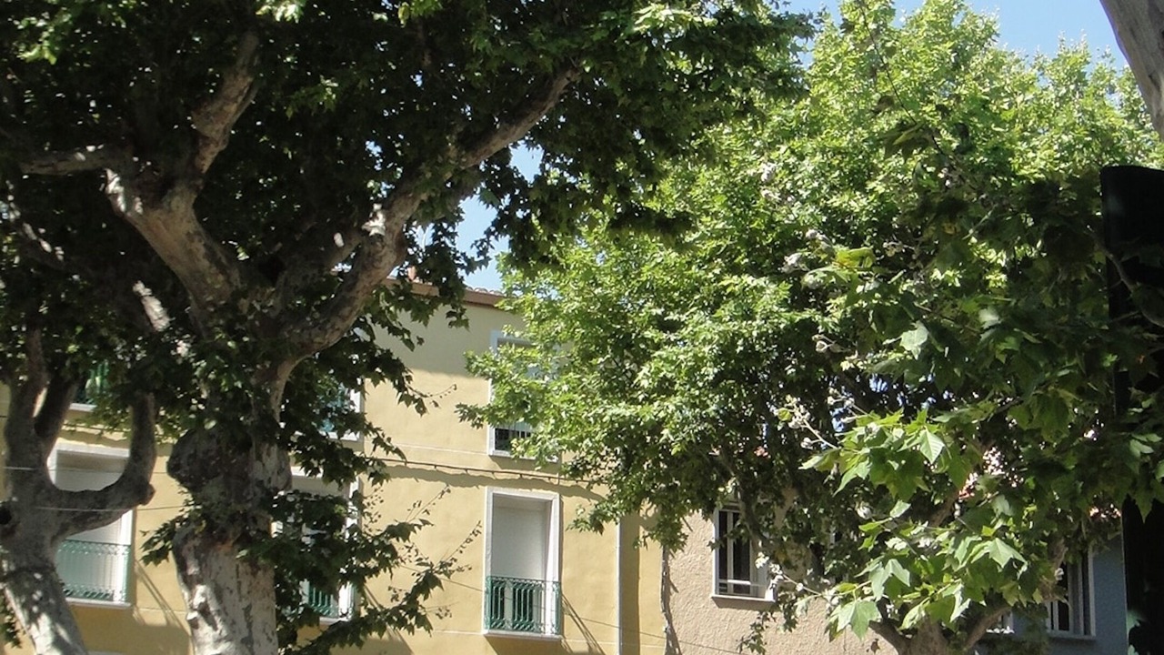 Photo of Others in Rivesaltes