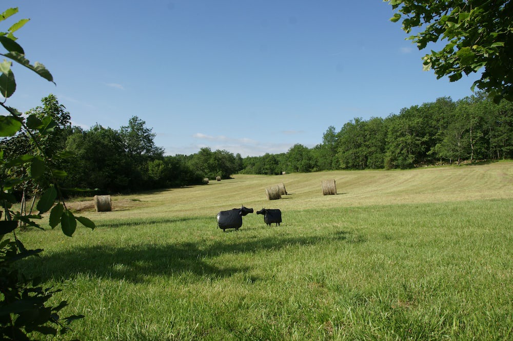 Photo of Outdoor in Cales