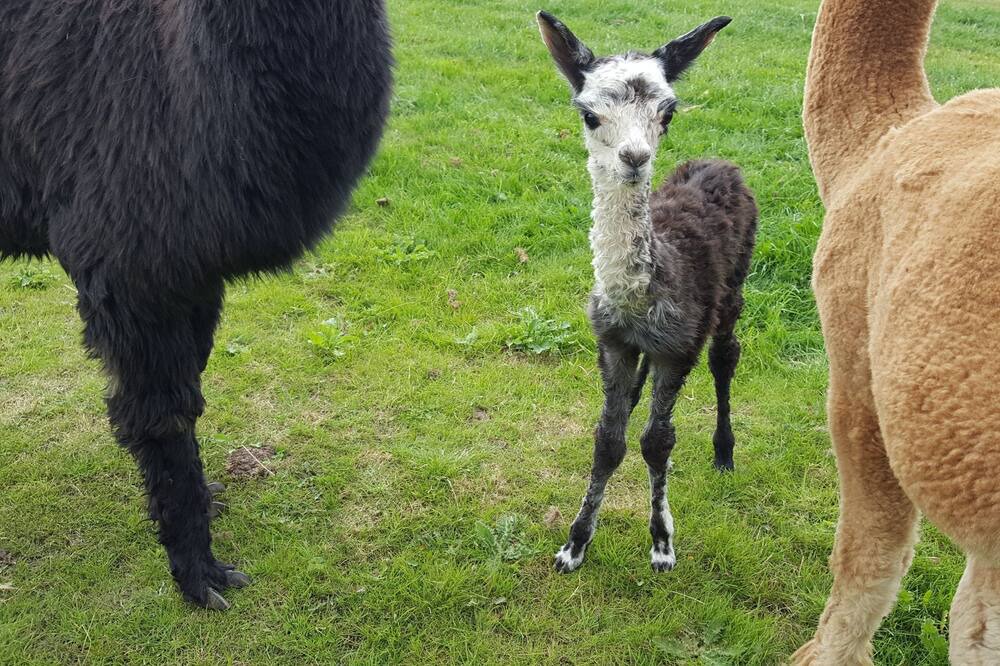 Photo of Outdoor in New Holland