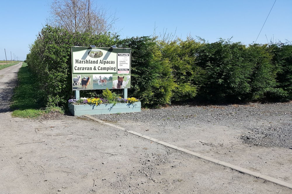 Photo of Outdoor in New Holland