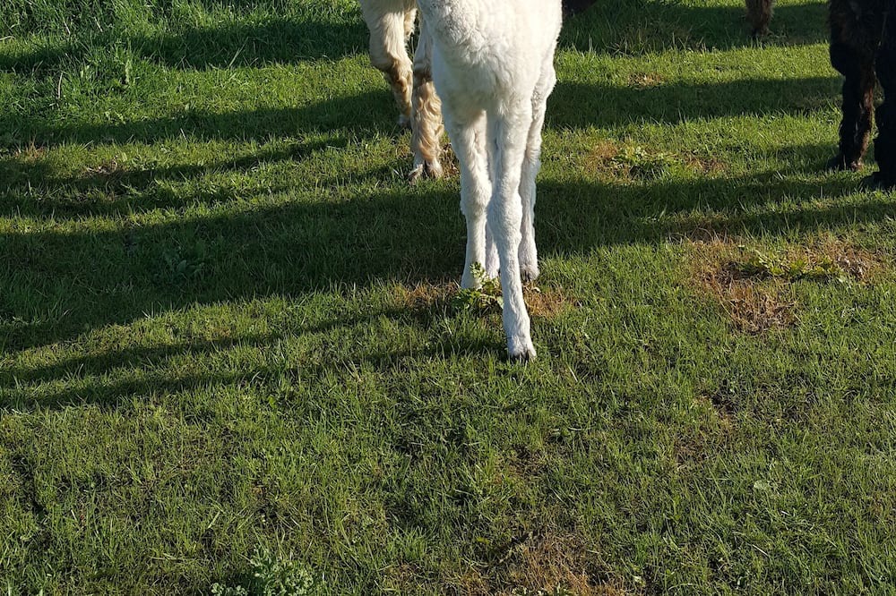 Photo of Outdoor in New Holland