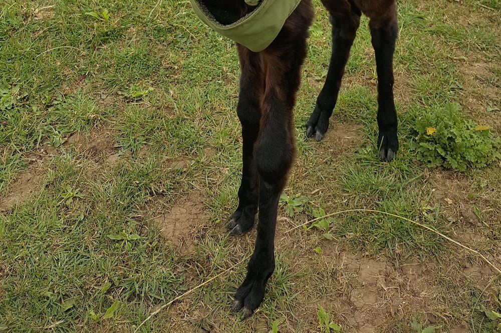 Photo of Outdoor in New Holland