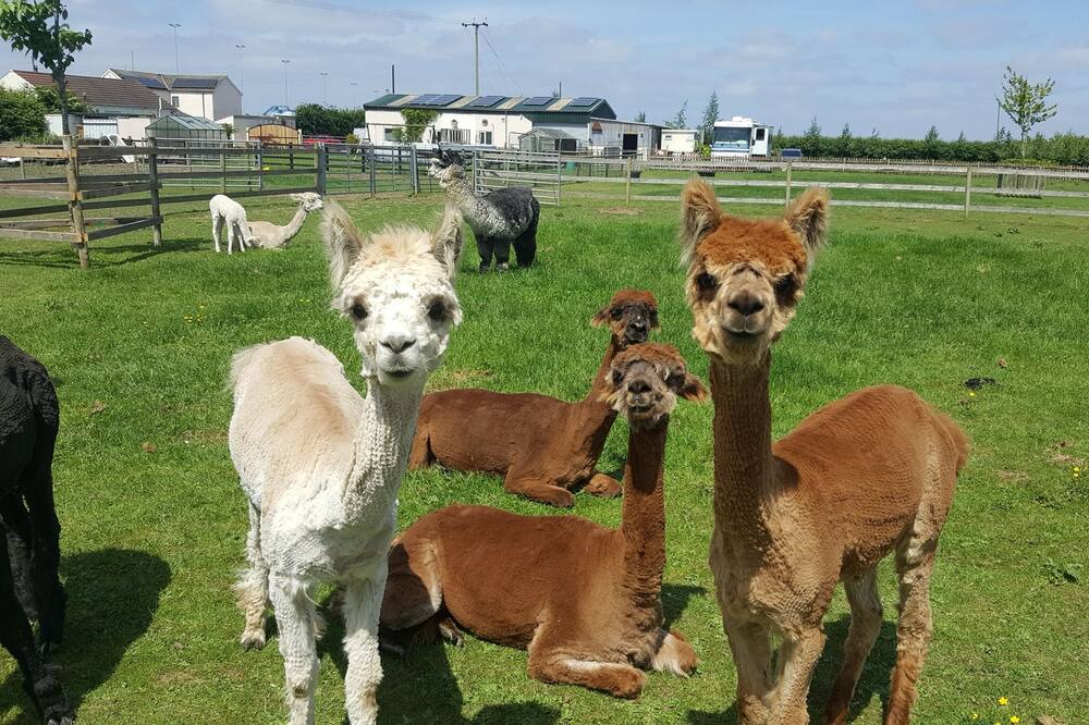 Photo of Outdoor in New Holland