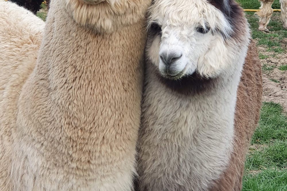 Photo of Outdoor in New Holland