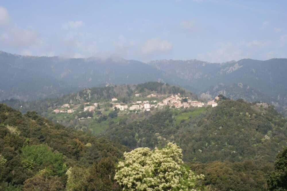 Photo of Outdoor in Poggio-di-Nazza