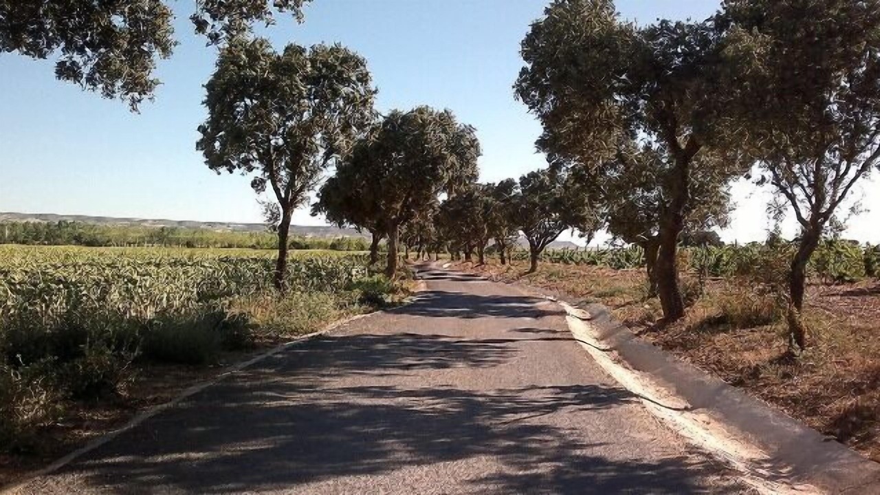 Photo of Outdoor in Vizmalo