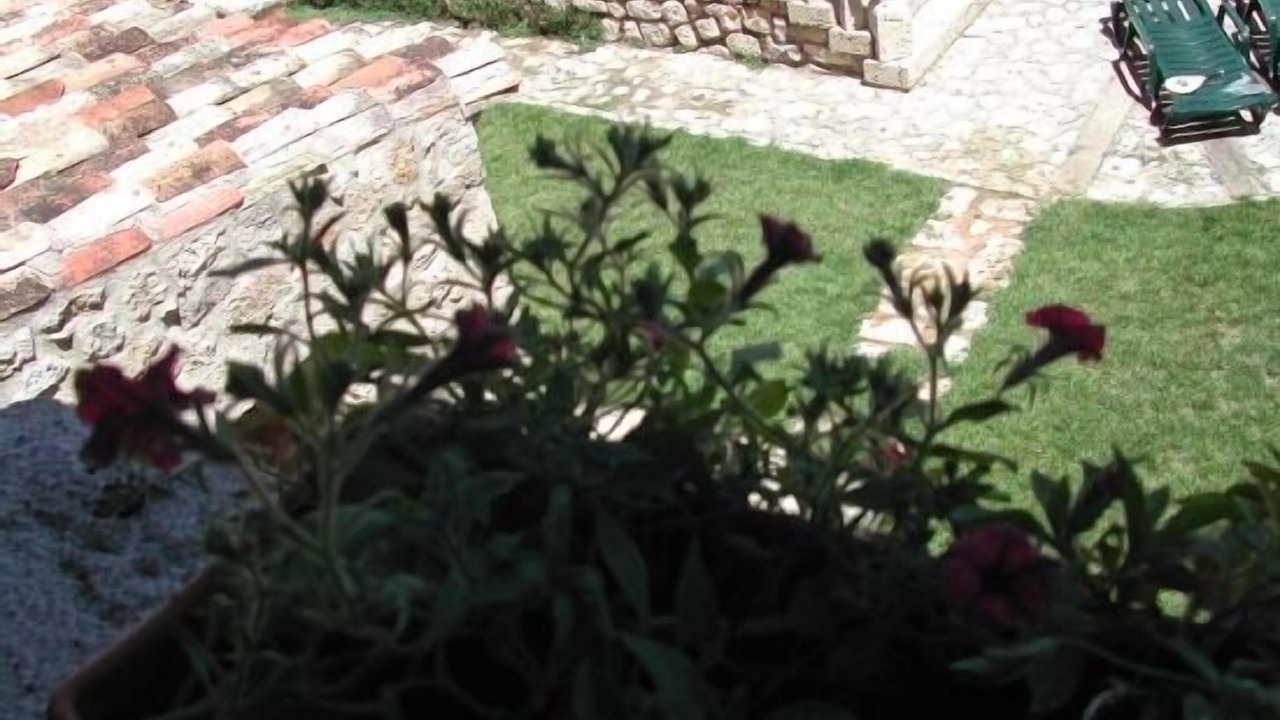 Photo of Outdoor in Vizmalo