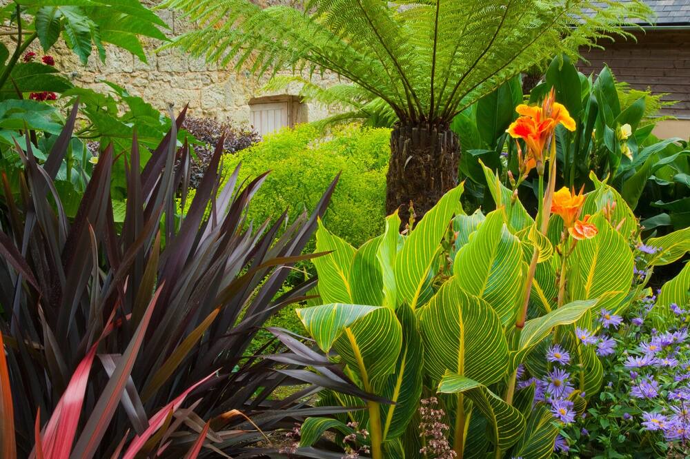 Photo of Others in Niton