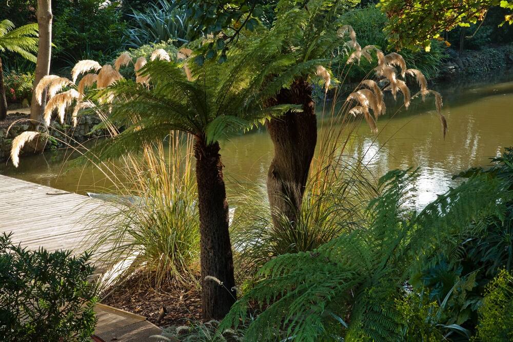 Photo of Outdoor in Niton