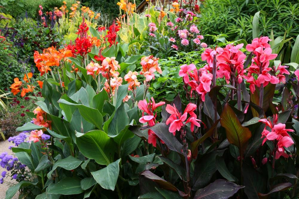 Photo of Others in Niton