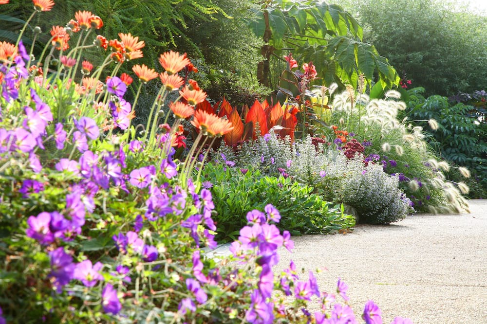 Photo of Others in Niton