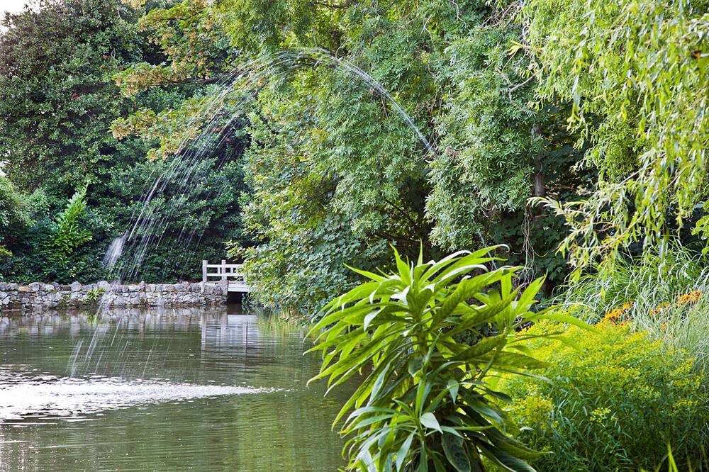 Photo of Outdoor in Niton