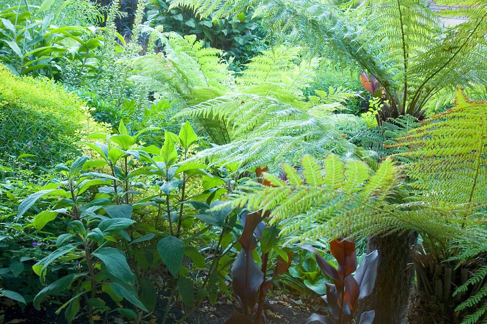 Photo of Others in Niton