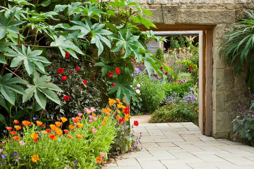 Photo of Outdoor in Niton