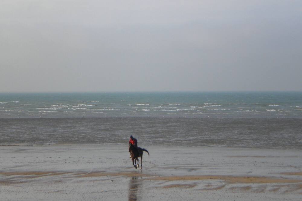 Photo of Others in Hauteville-sur-Mer