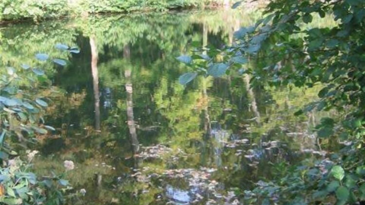 Photo of Outdoor in Moret-sur-Loing