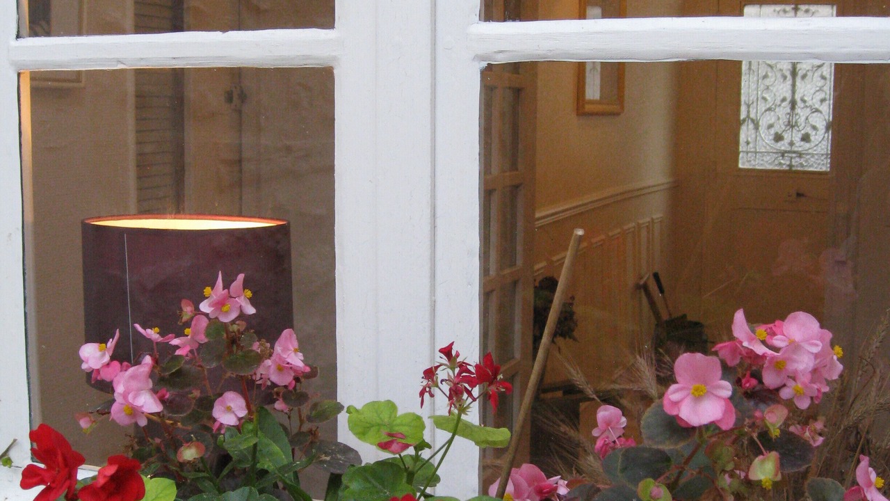 Photo of Outdoor in Moret-sur-Loing