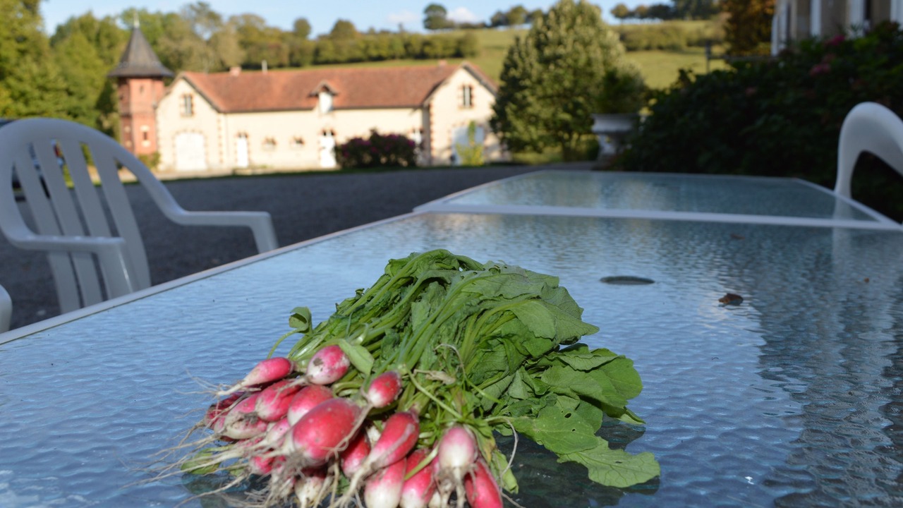 Photo of Patio Balcony in Imphy