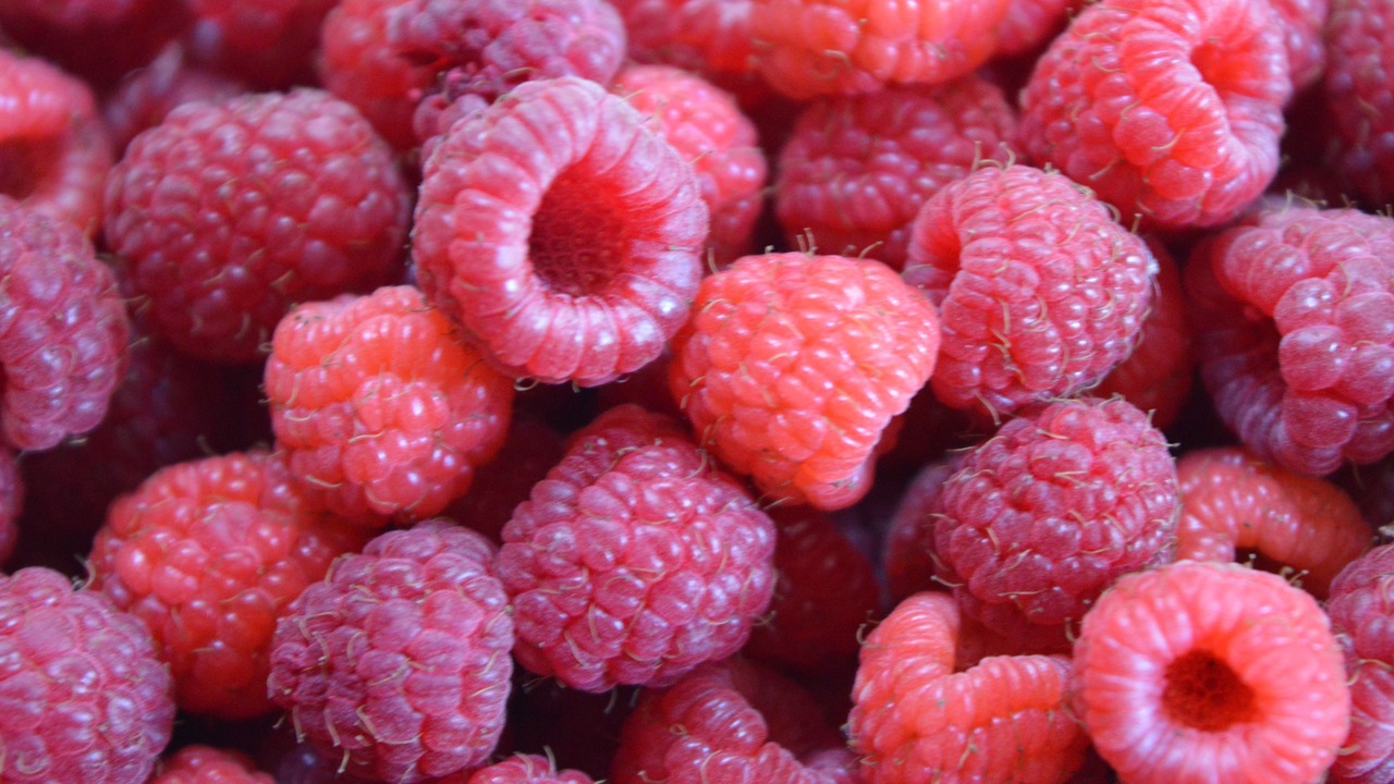 Photo of Others in Imphy