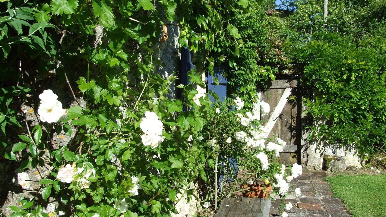 Photo of Outdoor in Roquecor