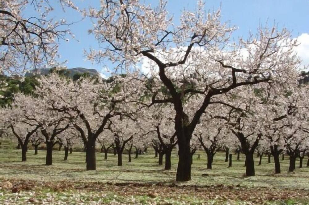 Photo of Outdoor in Horta de Sant Joan