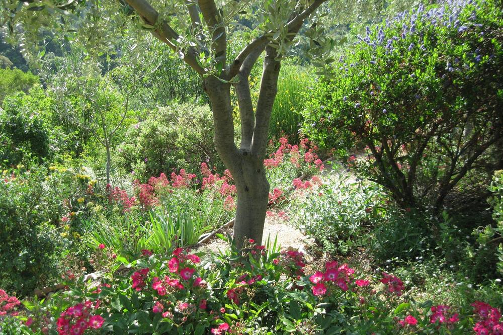 Photo of Outdoor in Saint-Martin-d'Ardeche