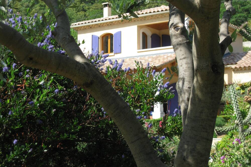Photo of Outdoor in Saint-Martin-d'Ardeche