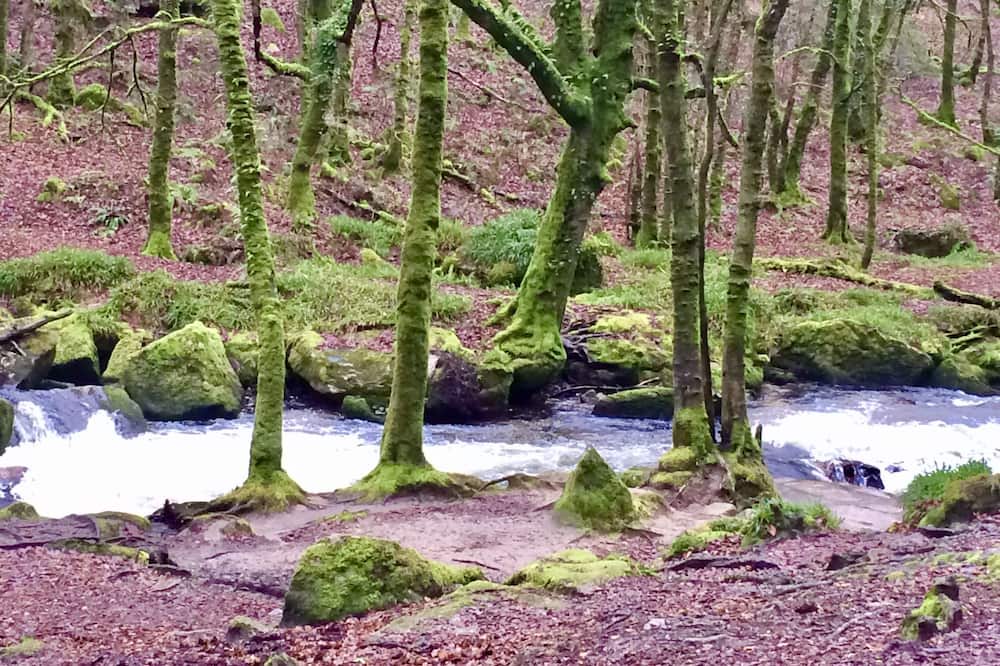 Photo of Outdoor in Trewen