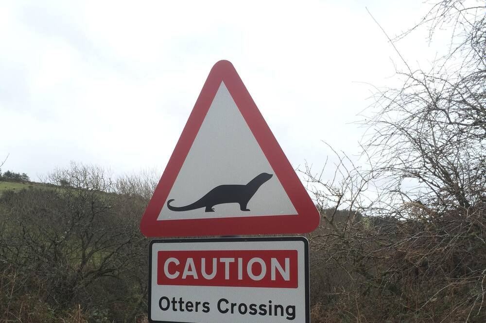 Photo of Outdoor in Trewen