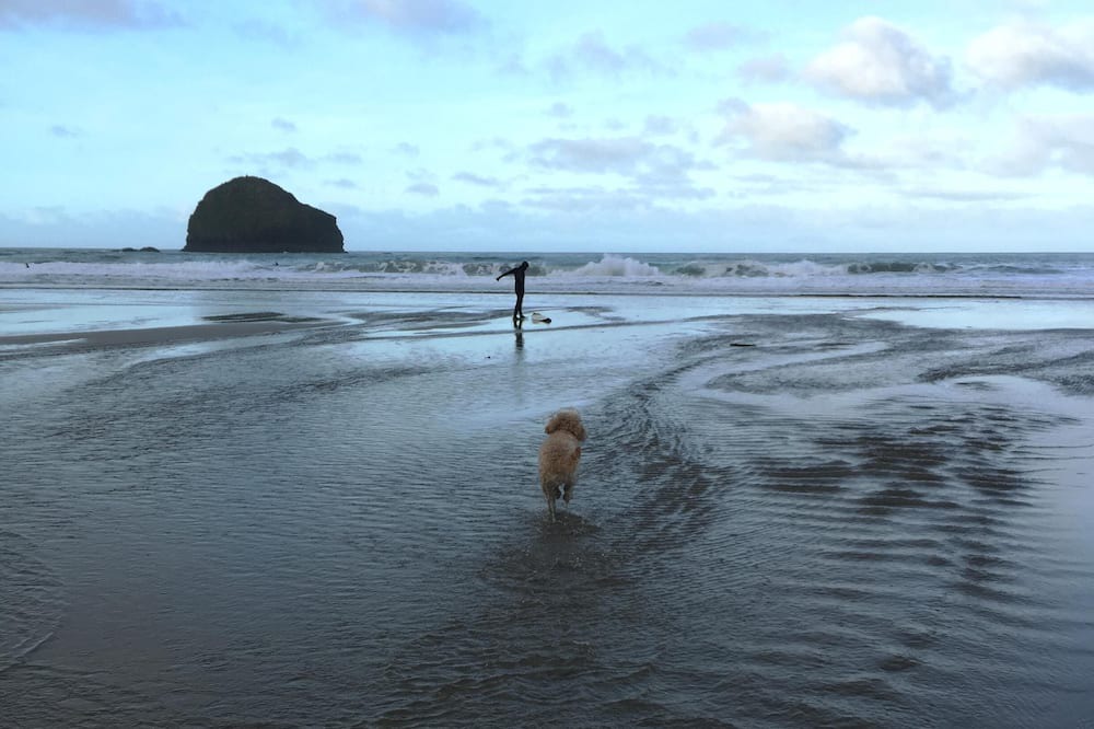 Photo of Others in Trewen