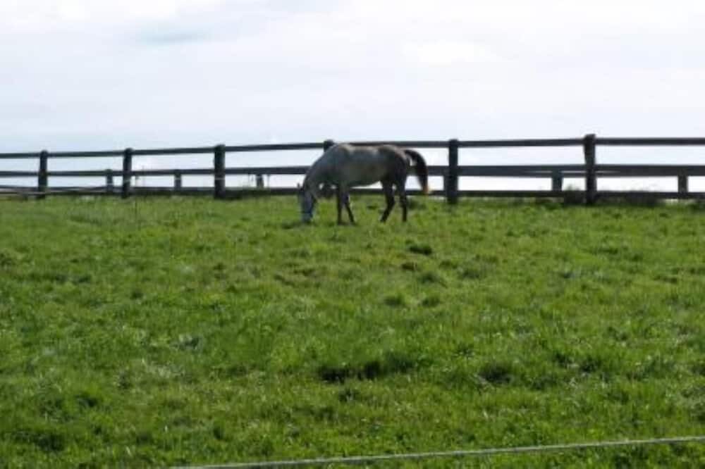 Photo of Outdoor in Le Sourn