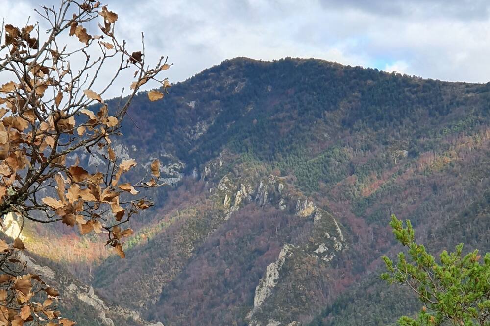 Photo of Outdoor in Beaujeu
