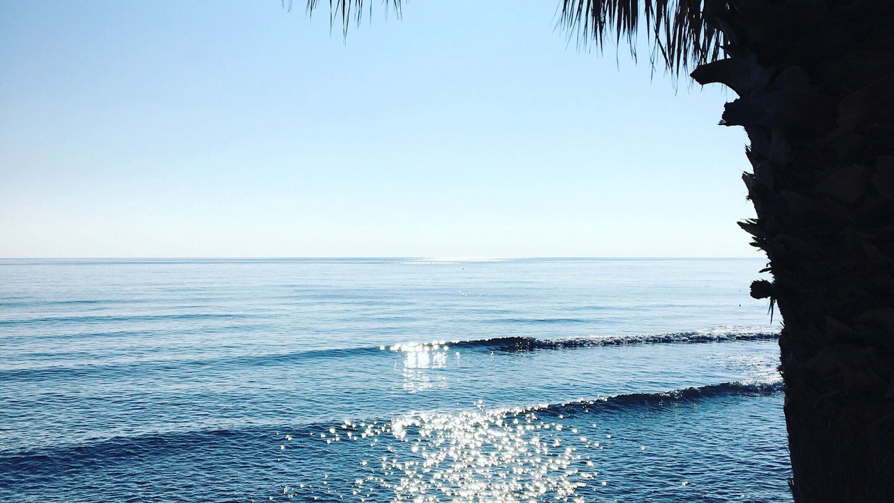 Photo of Outdoor in Can Macia