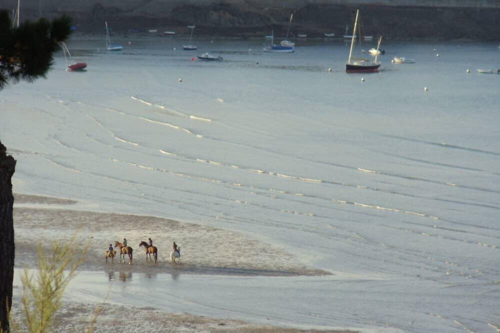 Photo of Others in Dinard