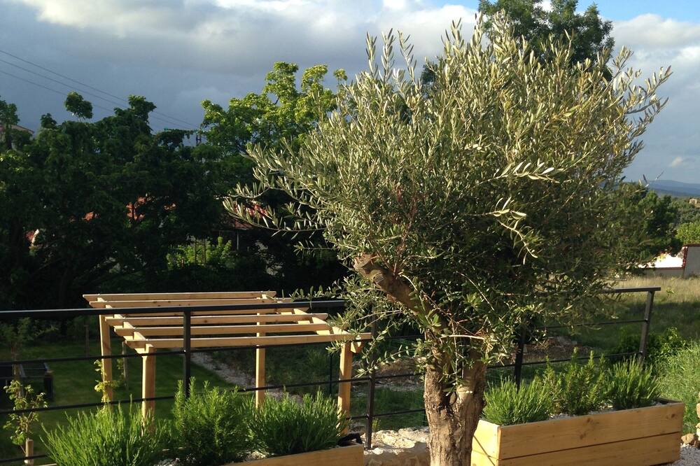 Photo of Outdoor in Cassagnes