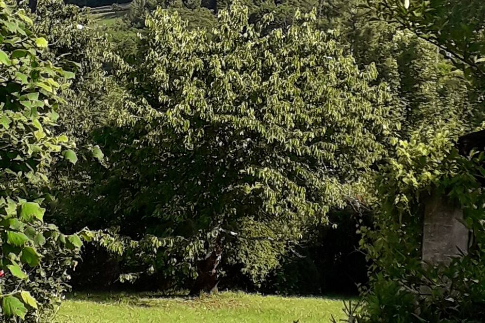 Photo of Outdoor in Aubenas