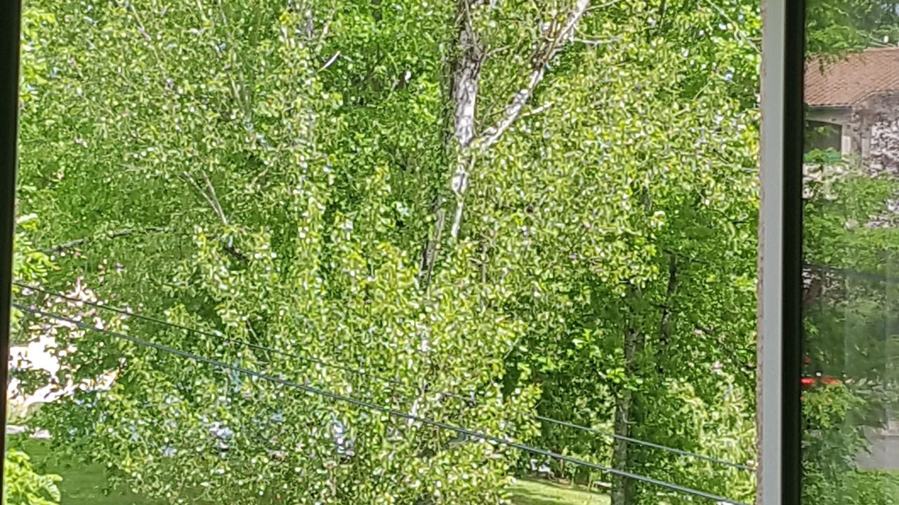 Photo of Outdoor in Barbotan-les-Thermes