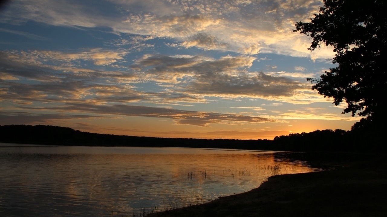 Photo of Others in Treigny