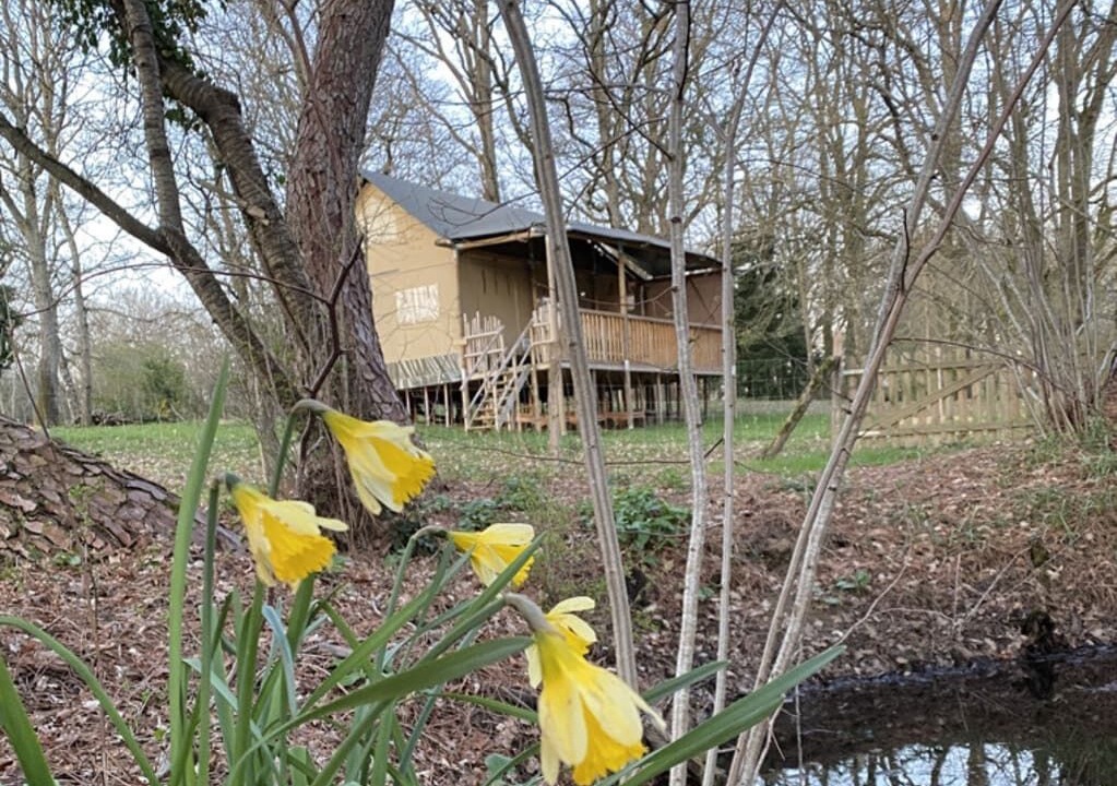 Photo of Others in Treigny