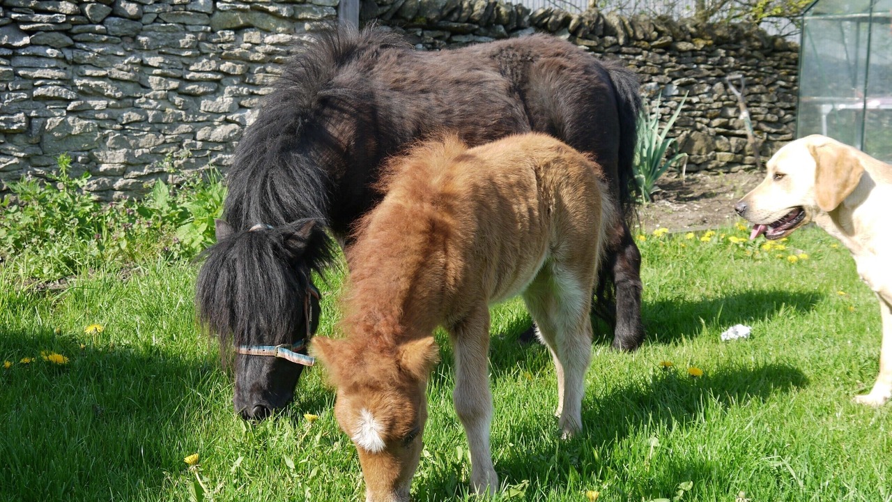 Photo of Outdoor in Levisham