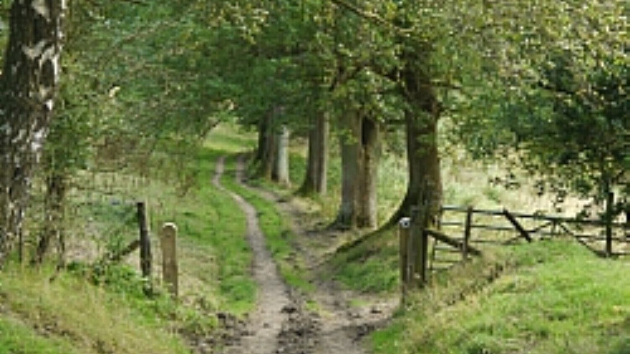 Photo of Outdoor in Levisham