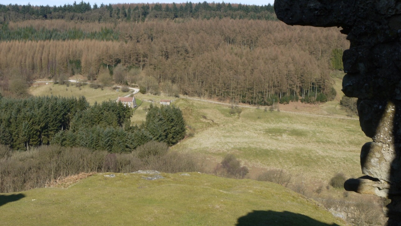 Photo of Others in Levisham