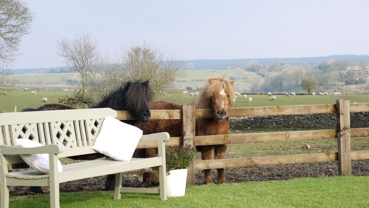 Photo of Outdoor in Levisham
