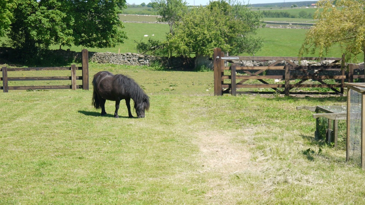 Photo of Outdoor in Levisham